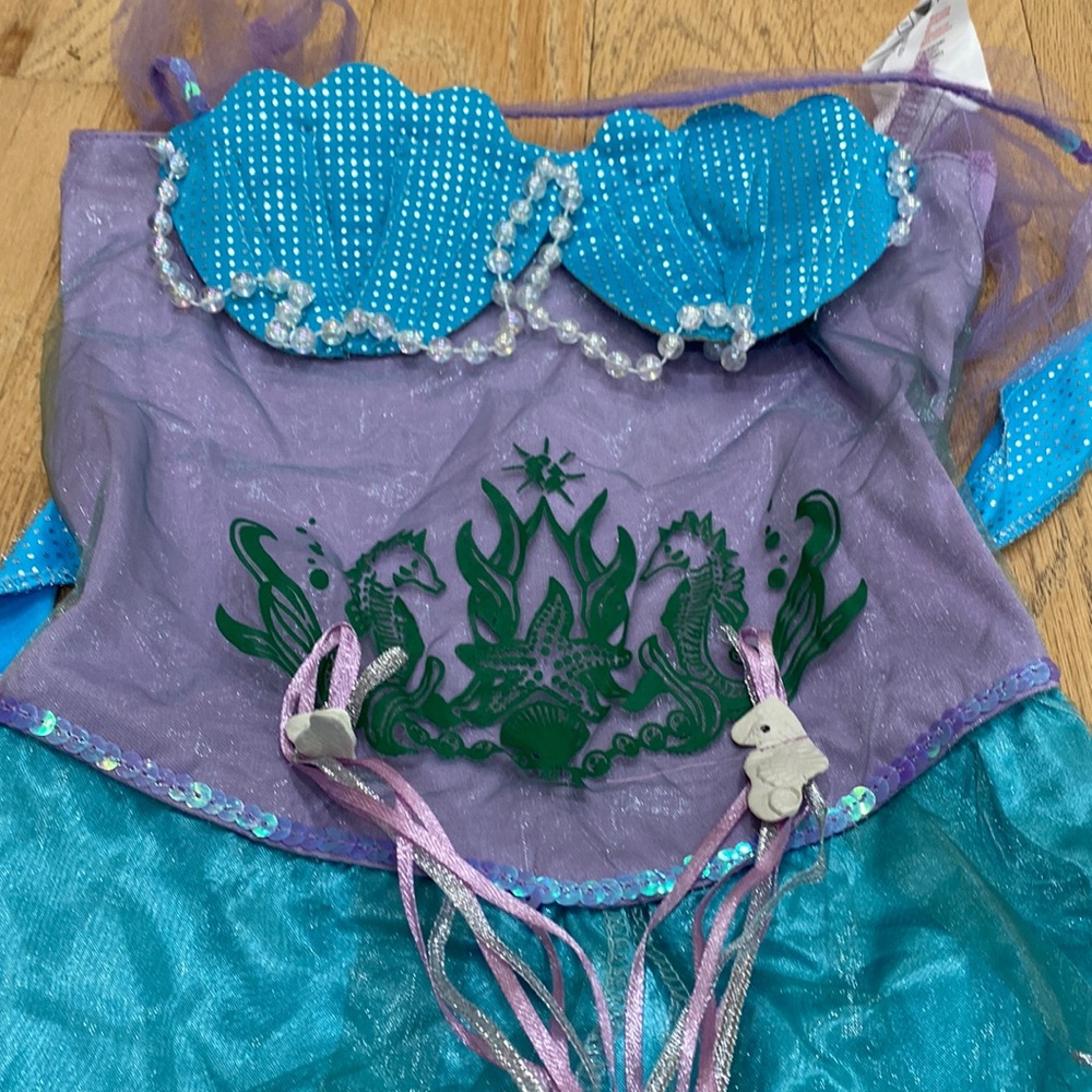 Childrens mermaid costume everything is in great condition sz medium kids medium